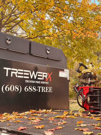Images Treewerx