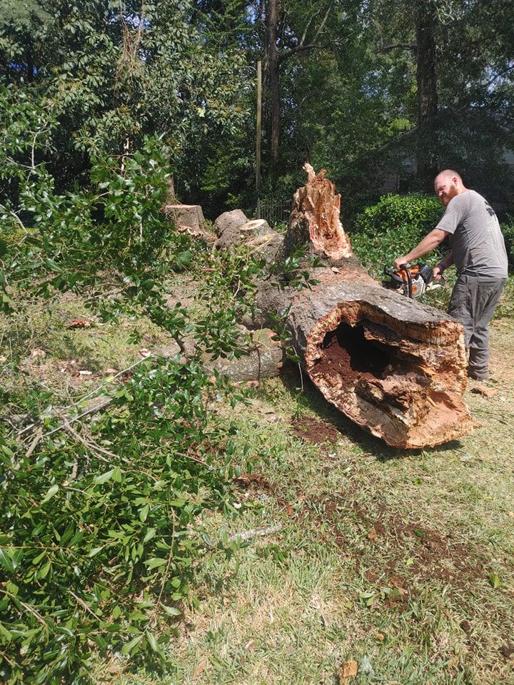 Heaven Sent Tree Service and Recovery Image