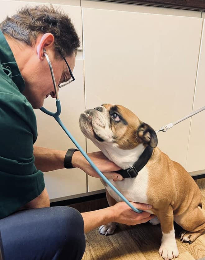 Abingdon Veterinary Clinic