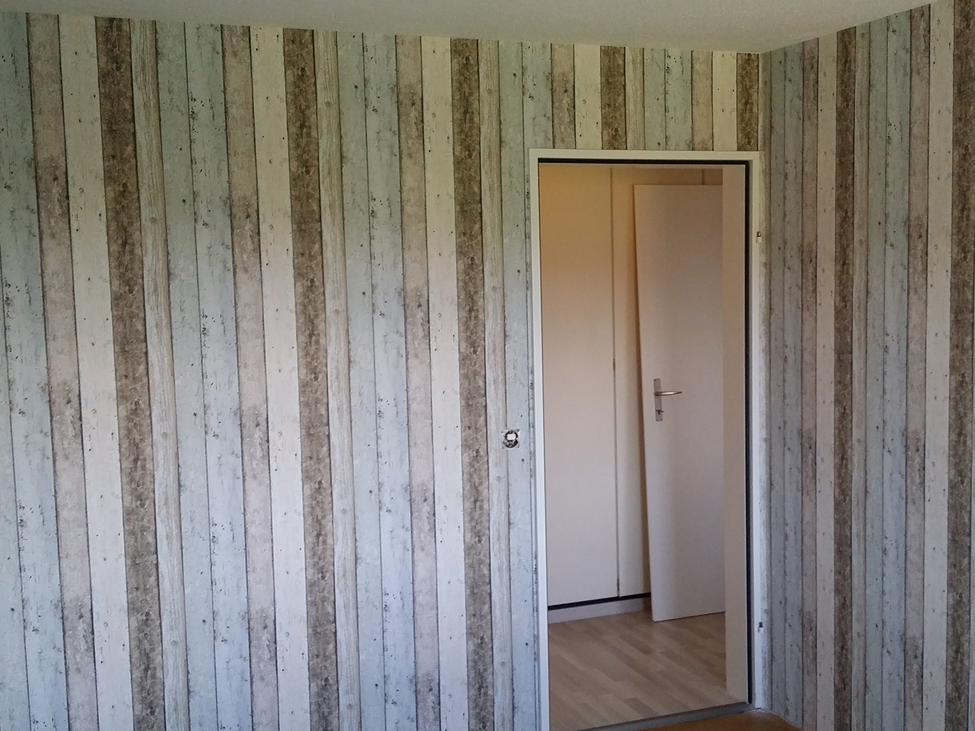 Bilder BaboGroup