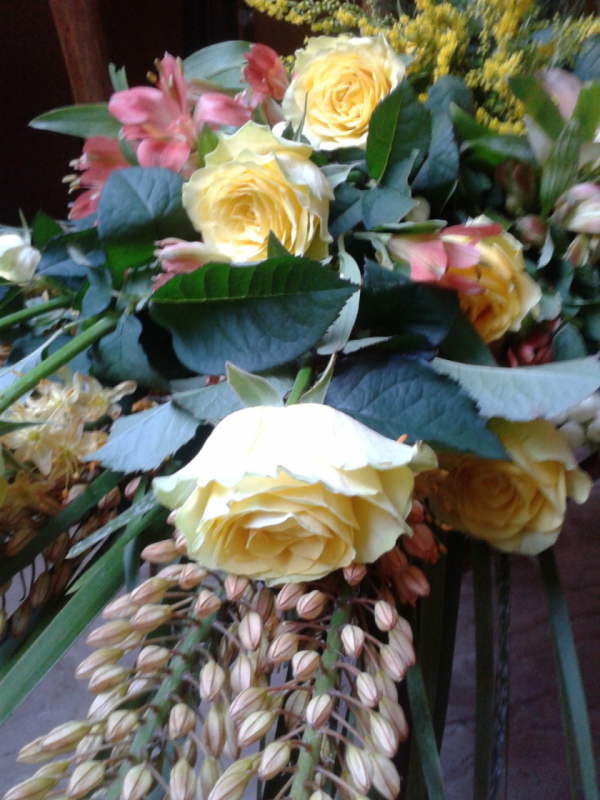 Images Onoranze Funebri Borsari