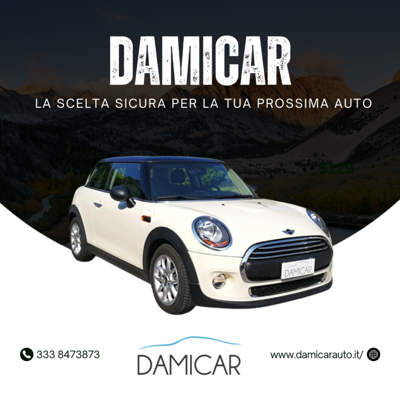 Images Damicar