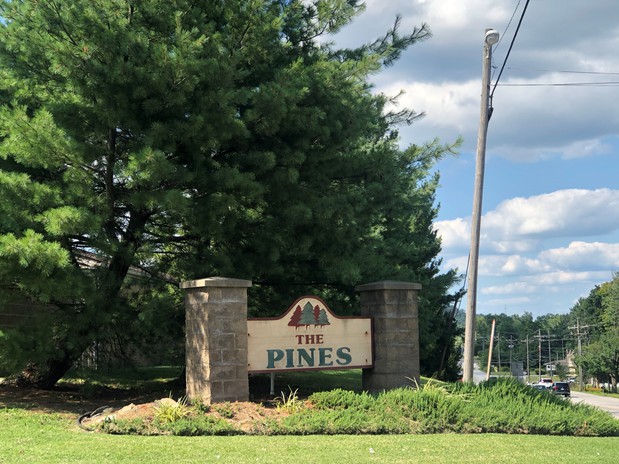 Images The Pines