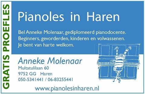 Foto's Pianoles in Haren