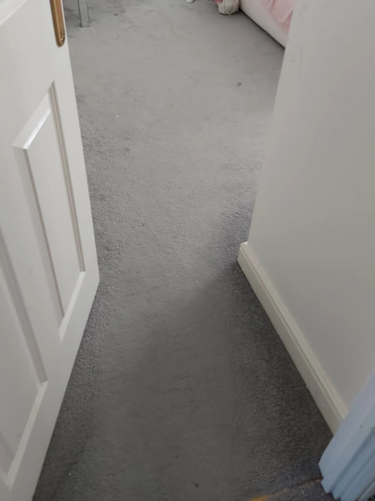 Images Titanium Cleaning