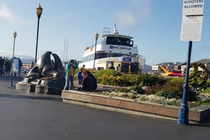 Images Treasure Island Mobile Home & RV Park