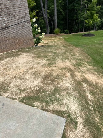 Images Total Landscape Solutions Inc.