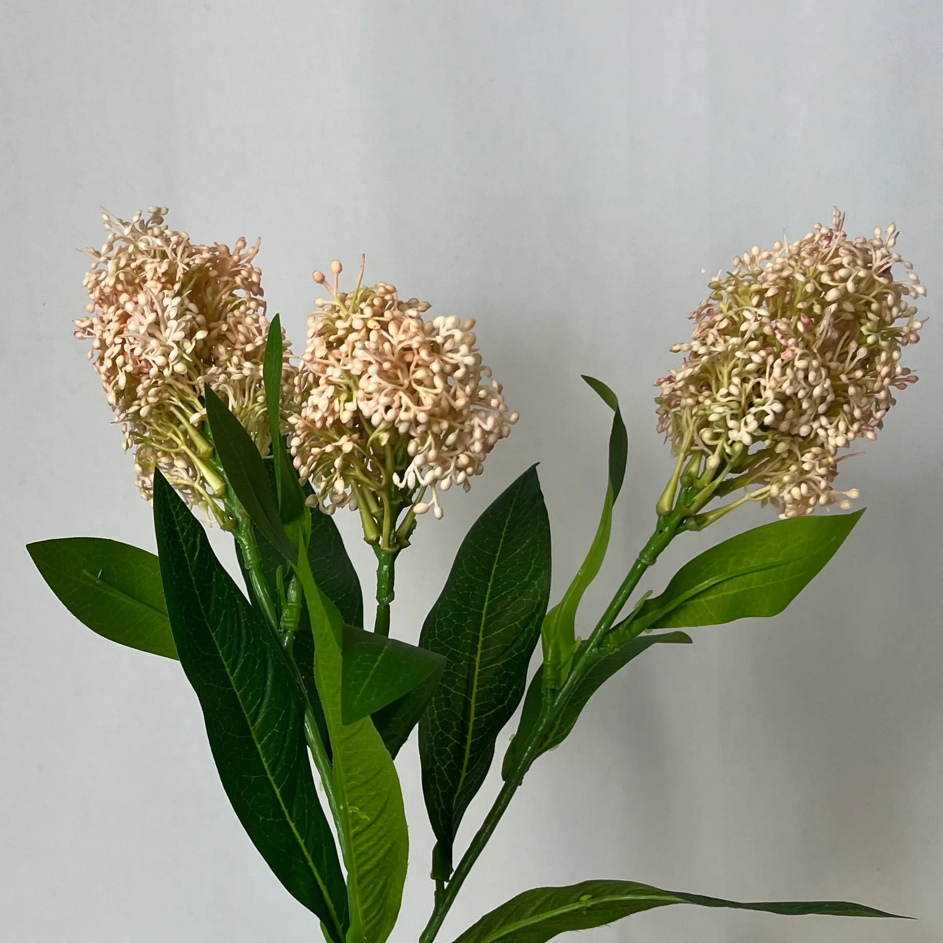 Images Village Green Wholesale Ltd