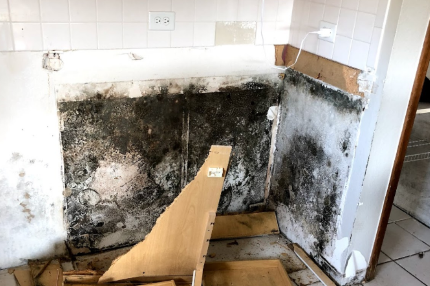 Mold Removal and Contaminated Material Mitigation