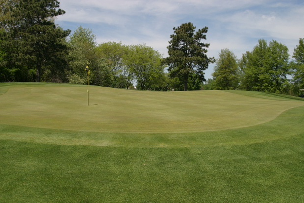 Images Quail Creek Golf Course