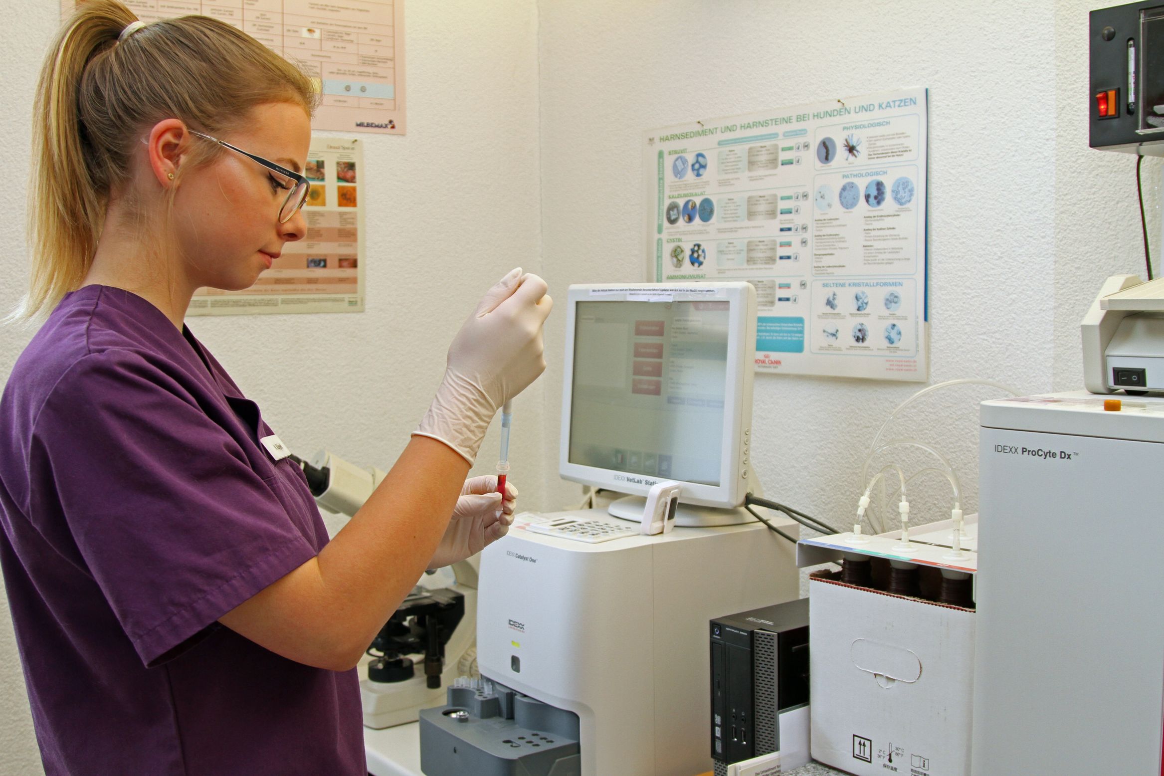 Bilder Kleintier- und Pferdepraxis im Dorf AG