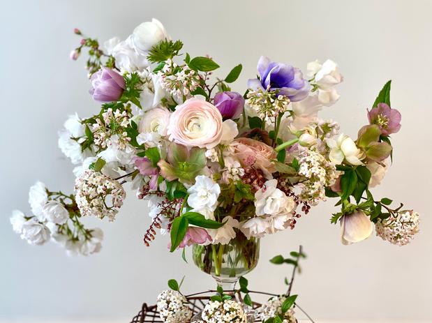 Images munera de terra flowers and gifts