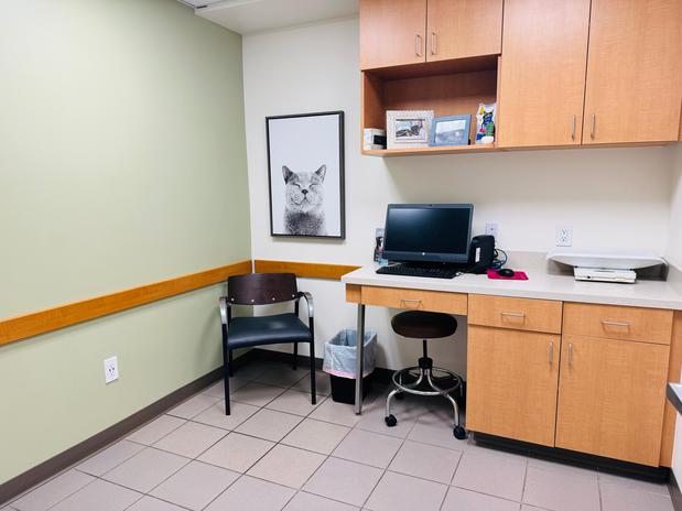 Images VCA Laguna Niguel Animal Hospital