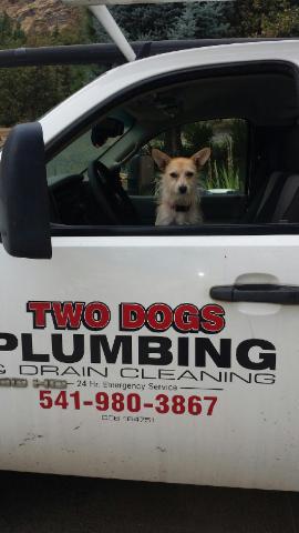 Image 5 | Two Dogs Plumbing & Drain Cleaning Inc.