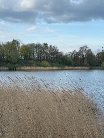 Bilder C und S Hotel