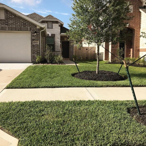 Images GQ Landscaping & Lawn Care Services