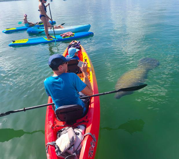 Images SURFIT USA | Kayaks, Paddleboards & Surf
