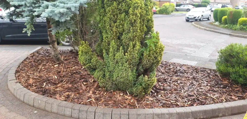 Images Kingston Views Landscaping
