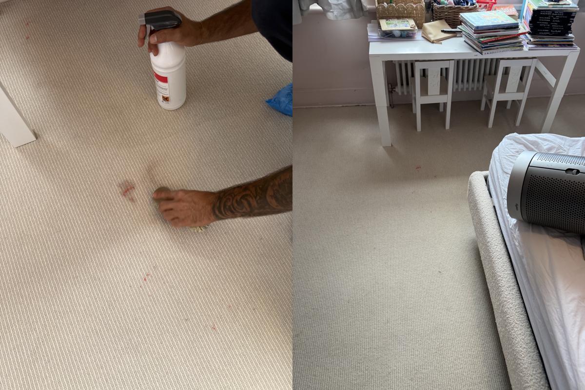 Images 4 Seasons Carpet Clean
