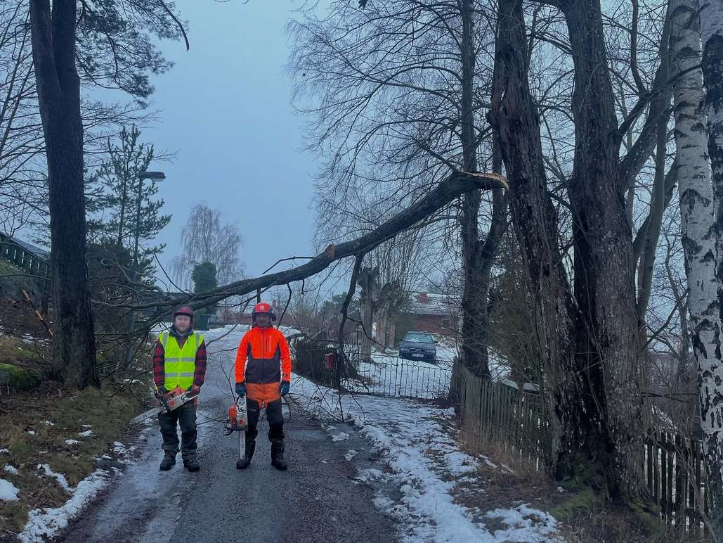 Images Trosa Trädfällning AB