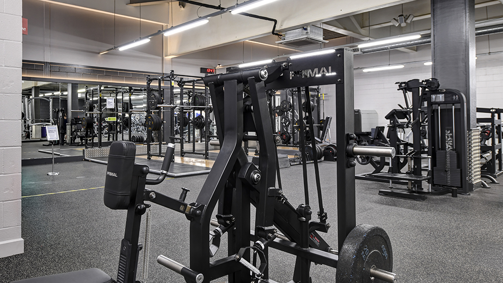 Free Weights Area