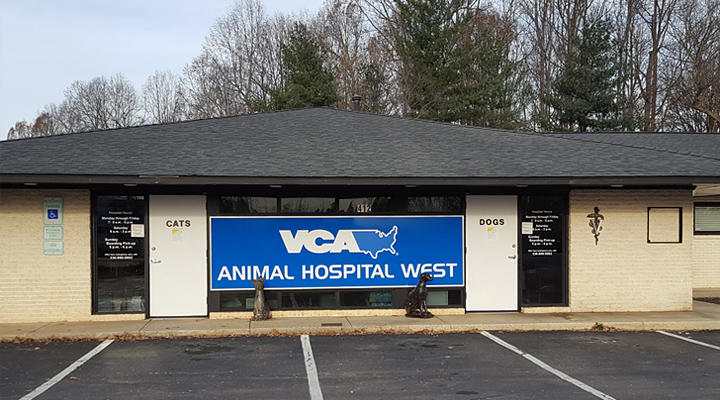 Images VCA Animal Hospital West