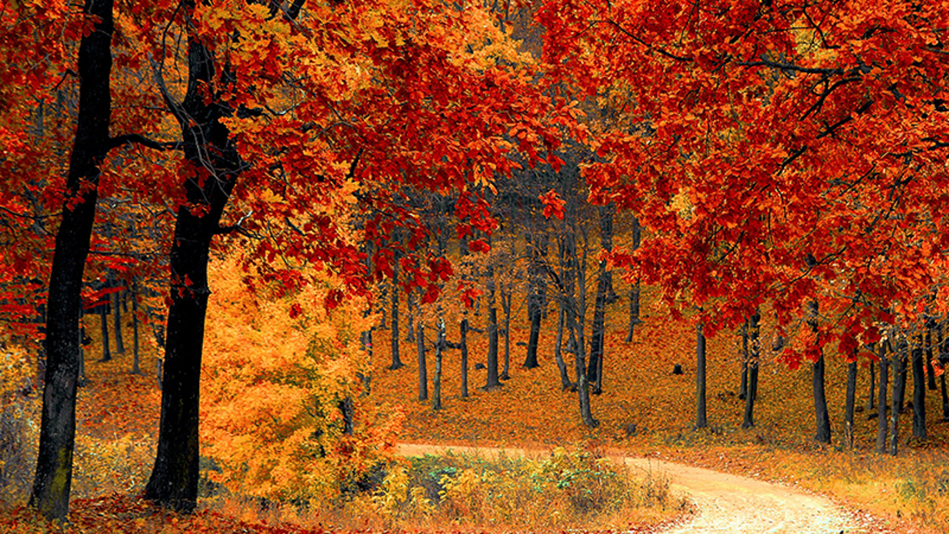 Images Mindful Coaching V/Mette Lind