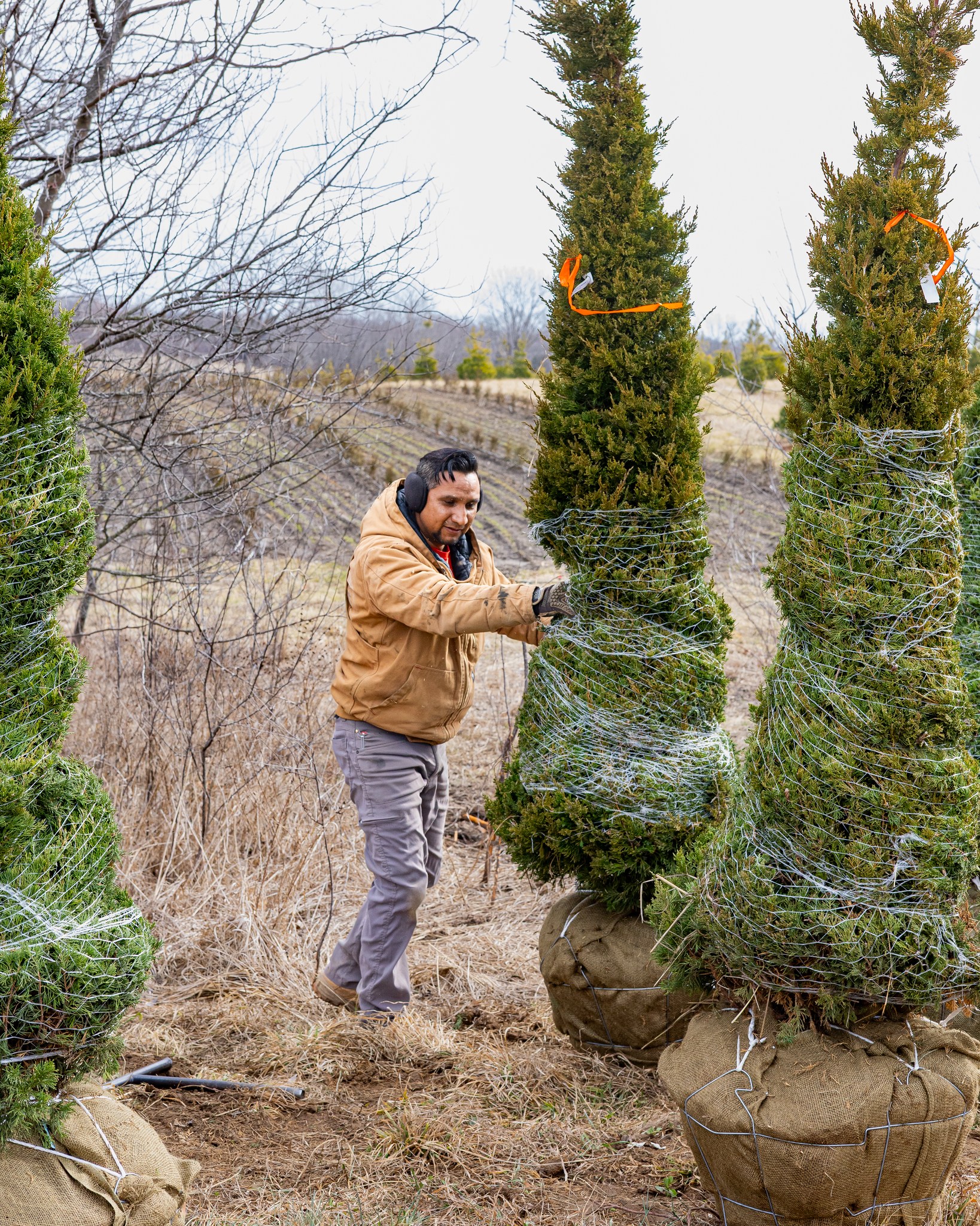 Rost Landscaping Image