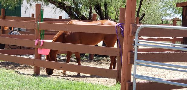 Images La Bota Ranch Equestrian Center