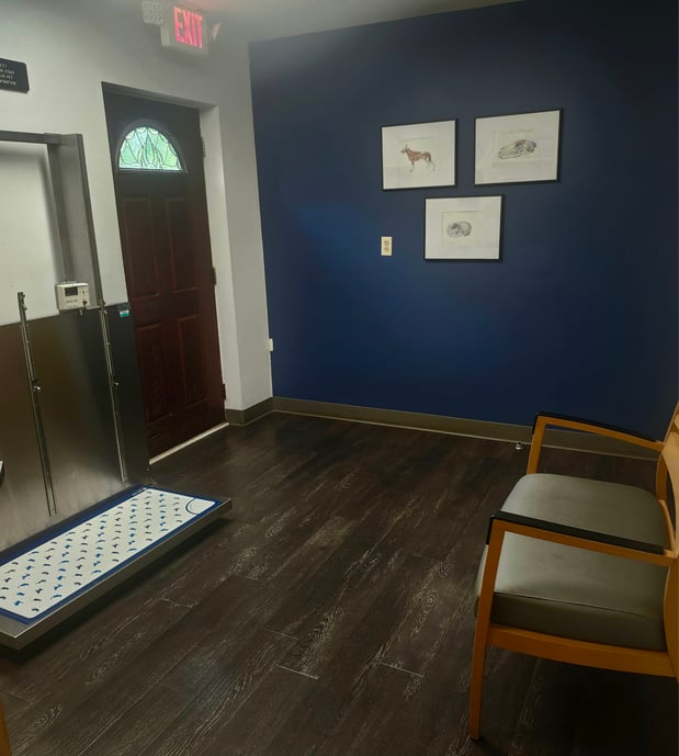 Images VCA AVH Animal Hospital