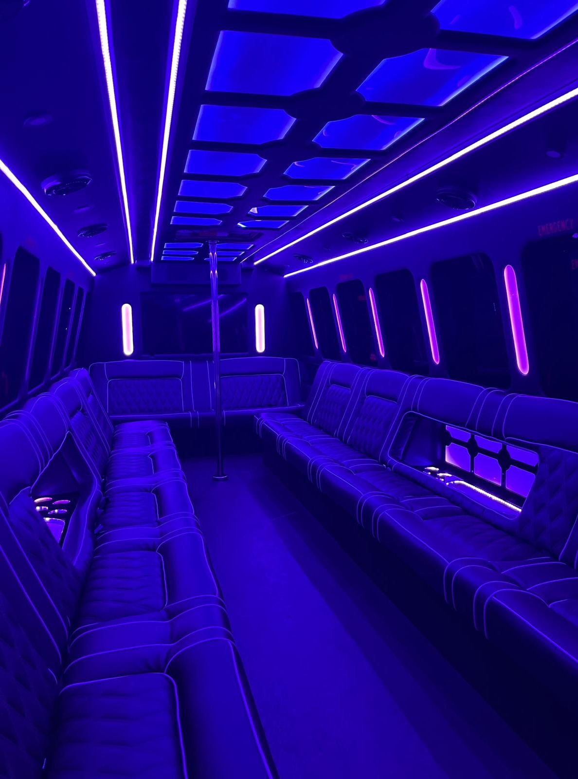 Las Vegas Party Bus 30 Passenger Party Bus with dance pole.