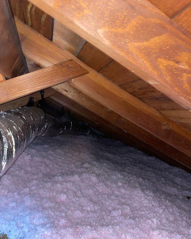 Images Attic Professional