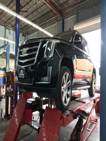 Images Texas International Motors - European Auto Repair