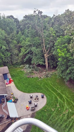 Images Trustfall Tree Service