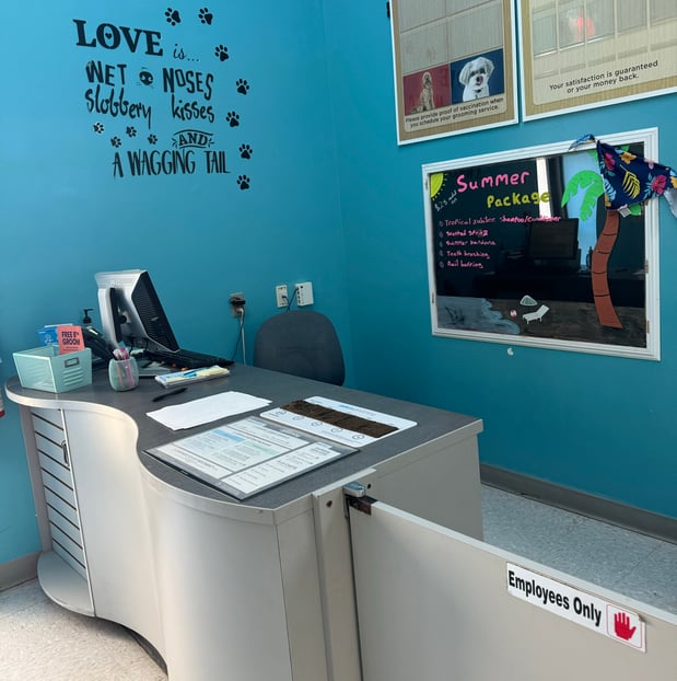 Images Petco Grooming