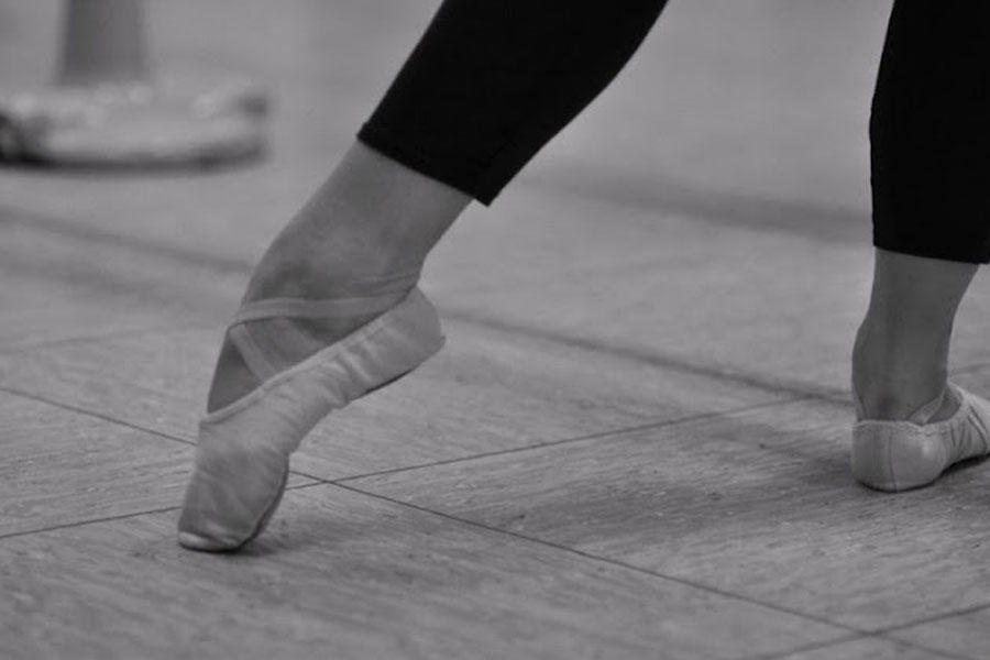 Kundenbild groß 3 Ballett im Hof - Ballettschule Frankfurt