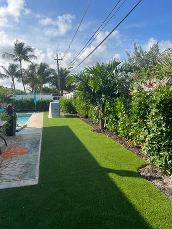 Images Purchase Green Artificial Grass