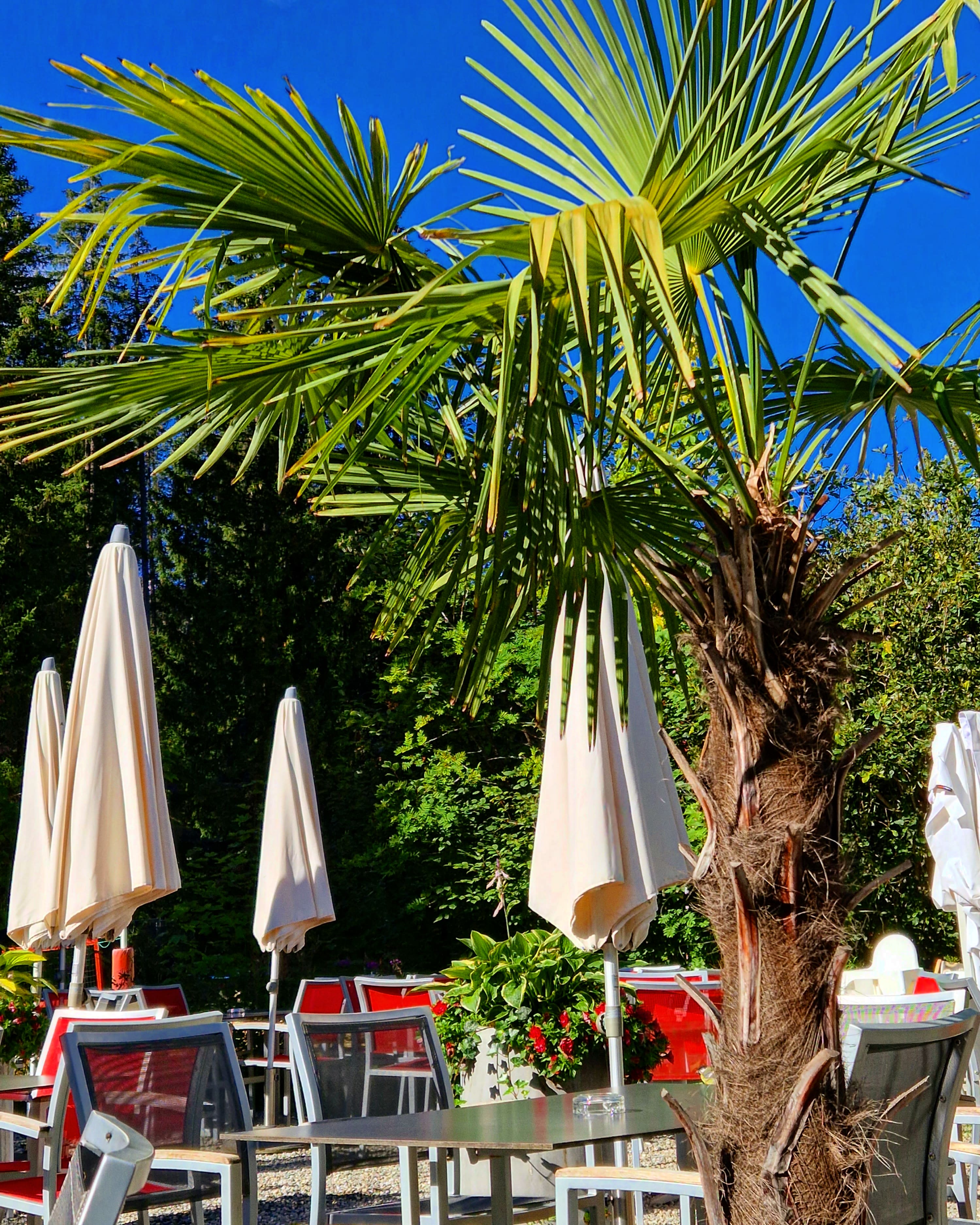 Bilder Restaurant Strandbad