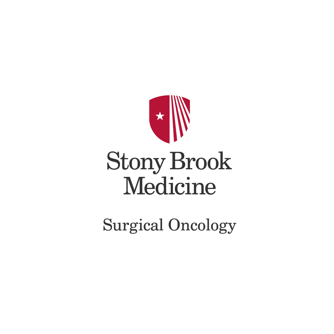 Stony Brook Division of Surgical Oncology