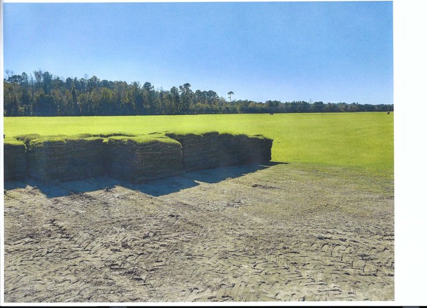 Images Horne Turf Farm