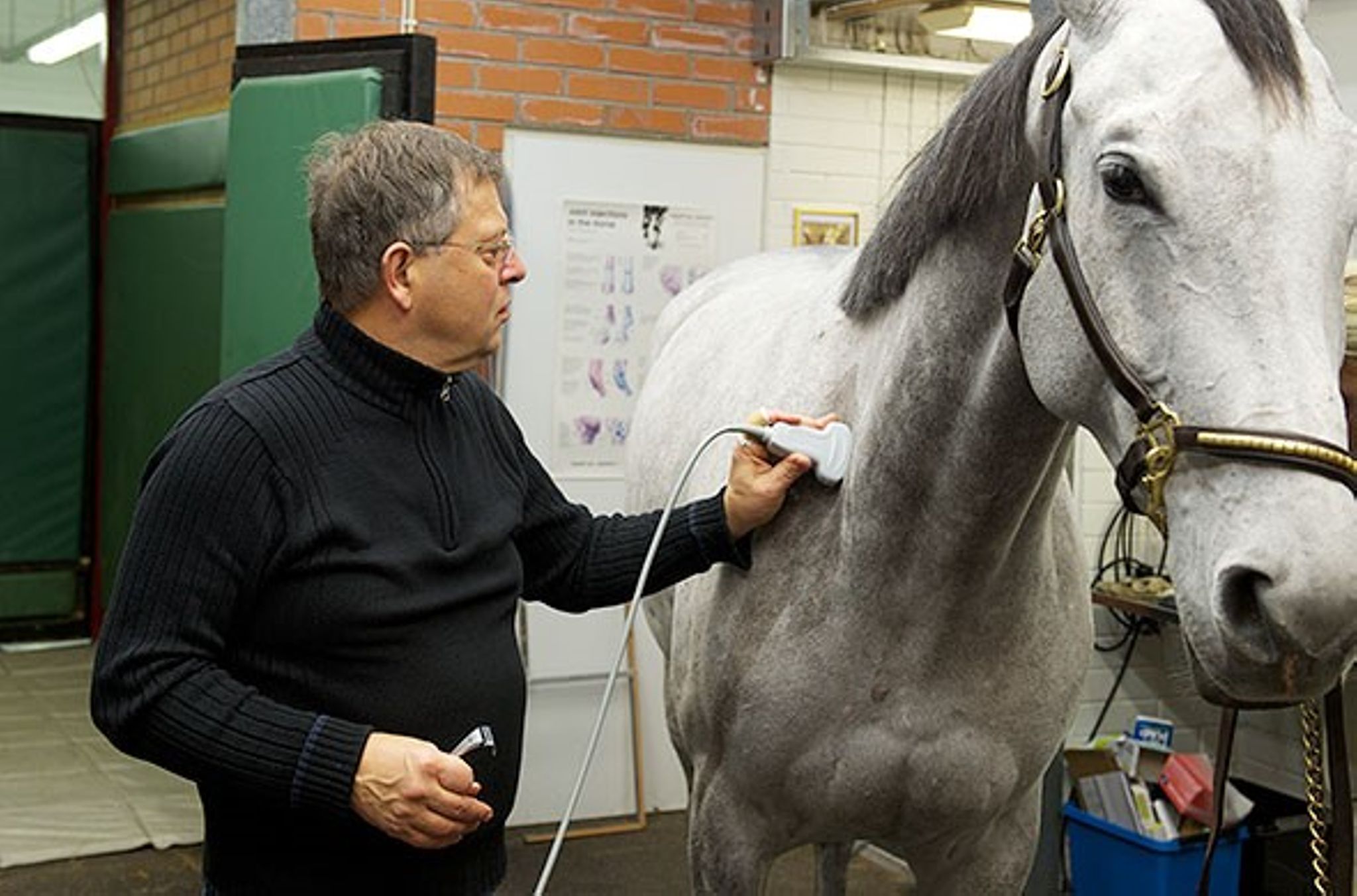 Images Hevosklinikka Anivet