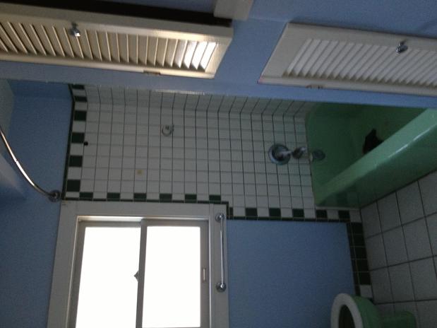 Images Apex Remodeling