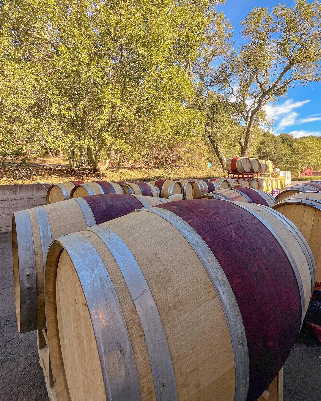 Amapola Creek Tasting Lounge Image