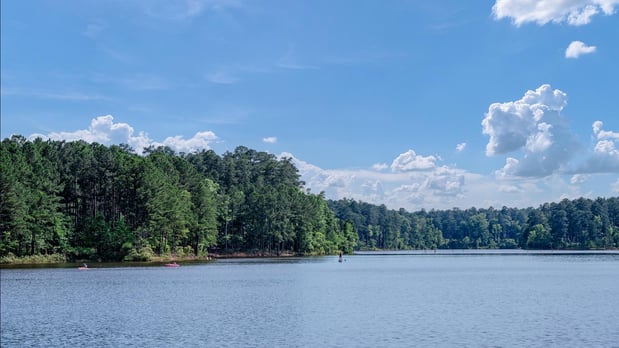 Images Longleaf Meadow