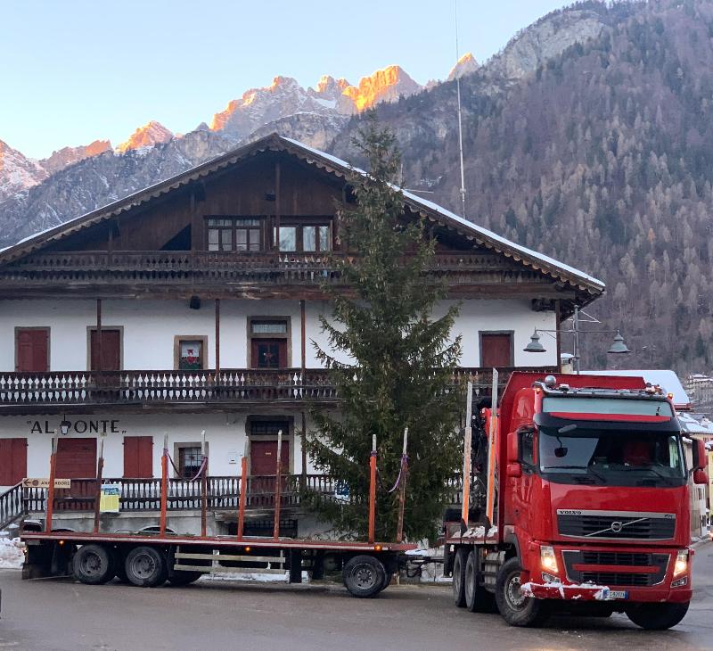 Images Autotrasporti da Rin