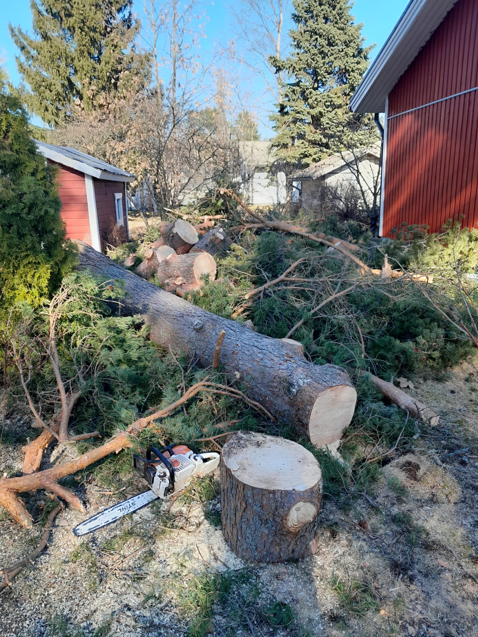 Images Tmi Monitoimi Pollari