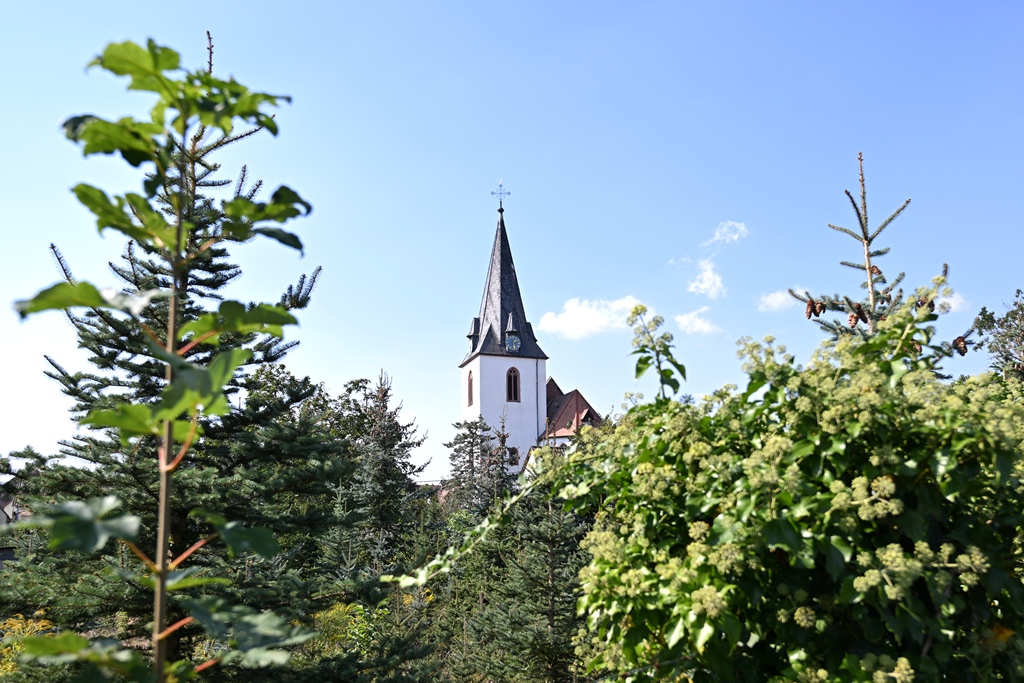 Evangelische Kirche Gimbsheim - Nachbarschaftsraum Altrhein-Wonnegau