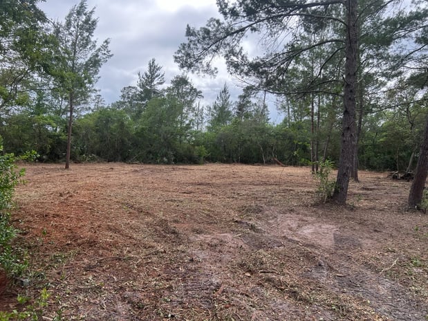 Images Stealth Mulching - Forestry Mulching & Land Development