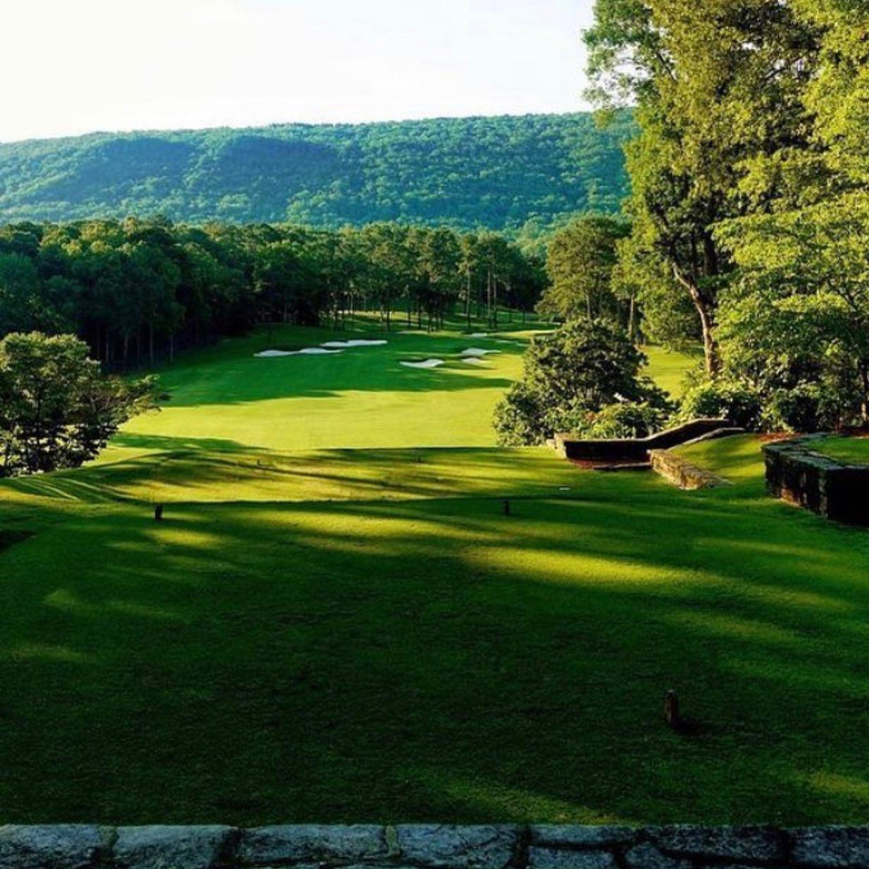 Landscape view at Shoal Creek Properties of green grass and trees