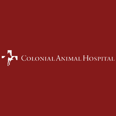 Colonial Animal Hospital - Springfield, VA 22150 - (703)451-5400 | ShowMeLocal.com